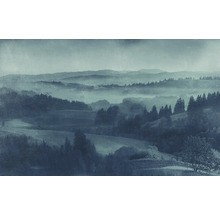 Landschapsafbeelding met bergen, bossen en mist