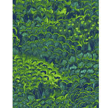 Behang met veren ontwerp