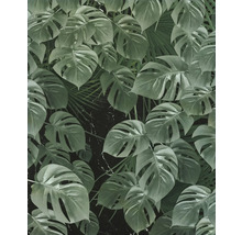Behang met Monstera en palmbladmotief