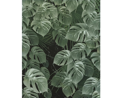 Behang met Monstera en palmbladmotief