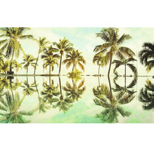 Palmbladeren met spiegelbeeld in het water