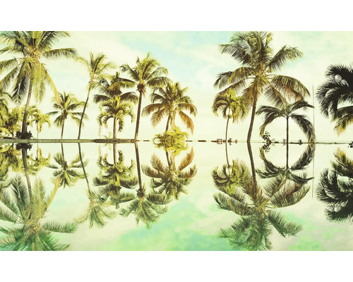 Palmbladeren met spiegelbeeld in het water