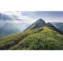Berglandschap met weiden en bergtoppen
