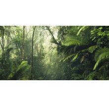 Dichtbegroeide jungle met weelderige vegetatie en bomen