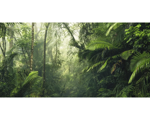 Dichtbegroeide jungle met weelderige vegetatie en bomen