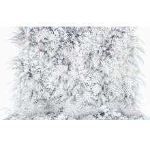 Decoratieve plantenwand met varens en andere planten