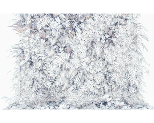 Decoratieve plantenwand met varens en andere planten