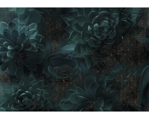 Behang met succulentenpatroon en geometrisch ontwerp