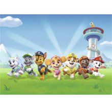 Illustratie van de Paw Patrol groep met het hoofdkwartier op de achtergrond