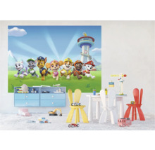 Kinderkamer met Paw Patrol muurschildering, kast en speelgoed