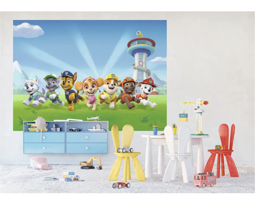 Kinderkamer met Paw Patrol muurschildering, kast en speelgoed