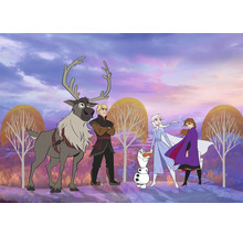 Scene met de karakters uit Frozen: Rendier Sven, Kristoff, Sneeuwpop Olaf, Elsa en Anna.