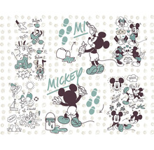 Mickey Mouse illustratie met Donald Duck en Pluto