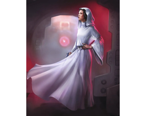 KOMAR Fotobehang vlies DX4-046 Disney Edition 4 Star Wars Classic Leia 200x250 cm Illustratie van een vrouw met kap en jurk