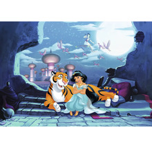 Aladdin scène met Jasmine, tijger en vliegend tapijt voor de maan