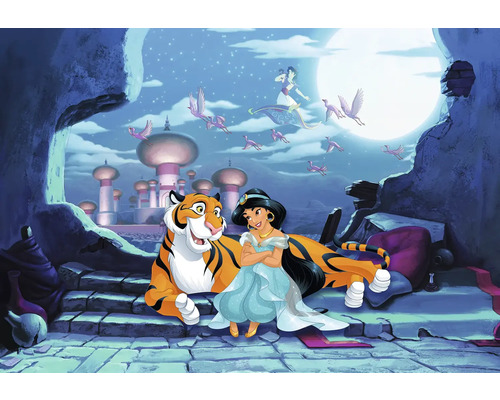 Aladdin scène met Jasmine, tijger en vliegend tapijt voor de maan