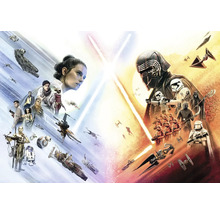 Star Wars: The Rise of Skywalker filmaffiche met Rey, Kylo Ren en ruimteschepen