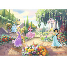 Illustratie van Disneyprinsessen in een tuin