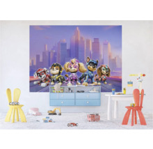 Kinderkamer met Paw Patrol muurschildering en kindermeubels