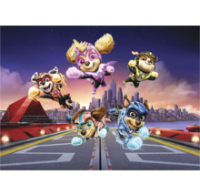 Paw Patrol superhelden die vliegen voor een stadsgezicht