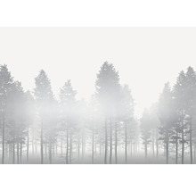Bos bedekt met mist