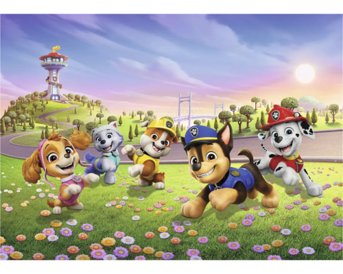 Illustratie van de Paw Patrol karakters in een landschap met een toren