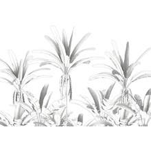 Illustratie van palmen en tropische planten