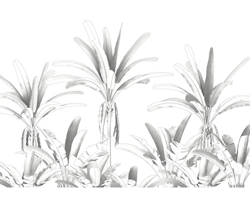 Illustratie van palmen en tropische planten