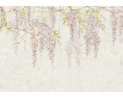Illustratie van blauweregenbloemen aan takken