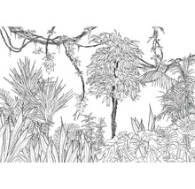Illustratie van een tropische jungle scene met verschillende planten