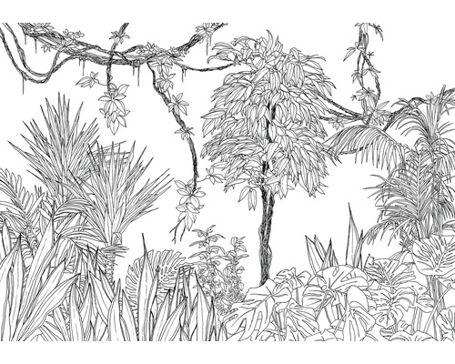 Illustratie van een tropische jungle scene met verschillende planten