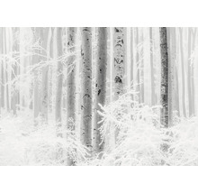 Winterlandschap met bomen en sneeuw