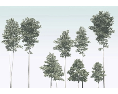 Illustratie van verschillende loofbomen