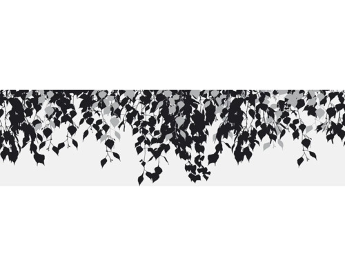 Illustratie van hangende berken takken met bladeren