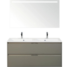 Wastafelmeubel met spiegel en twee wastafels