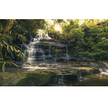 Cascadewaterval in bos met weelderige vegetatie