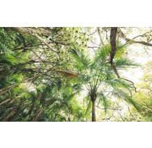 Onder aanzicht van bomen met groene bladeren