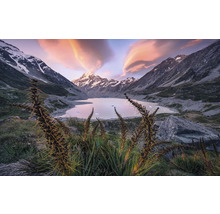 Landschap met meer, bergen en vegetatie op de voorgrond