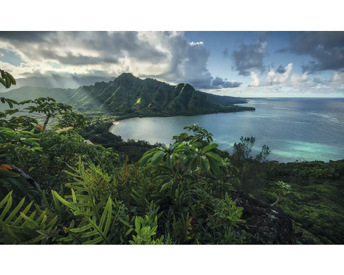 KOMAR Fotobehang vlies SHX9-117 Wanderlust - Stefan Hefele Jurassic Island 450x280 cm Landschap met bergen, kustlijn en tropische vegetatie