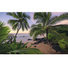 Strandlandschap met palmbomen en zee