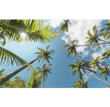 Kijk omhoog naar palmbomen tegen een blauwe hemel