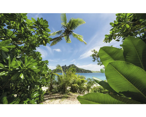 KOMAR Fotobehang vlies SHX9-106 Wanderlust - Stefan Hefele Cast Away Jungle 450x280 cm Tropisch eilandlandschap met palmen en vegetatie op het strand.