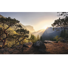 Landschap met bergen, bomen en zonsopgang