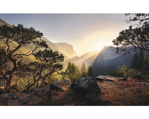 KOMAR Fotobehang vlies SHX9-101 Wanderlust - Stefan Hefele Yosemites Secret 450x280 cm Landschap met bergen, bomen en zonsopgang