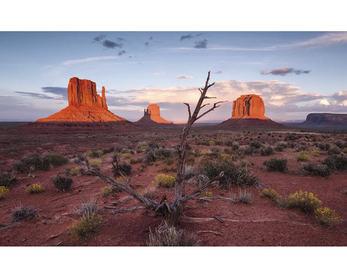KOMAR Fotobehang vlies SHX9-097 Wanderlust - Stefan Hefele Wild West Heroes 450x280 cm Landschap met rotsen en een dode boom