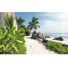 Tropisch strand met palmbomen en rotsen