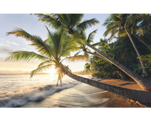 KOMAR Fotobehang vlies SHX9-082 Wanderlust - Stefan Hefele Beachsecret 450x280 cm Palmbomen op het strand bij zonsondergang.