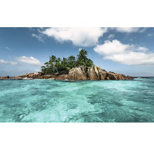 Tropisch eiland met rotsen en palmbomen in turquoise zee