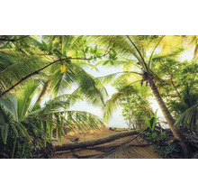 Doorkijk door palmtakken op een zandstrand