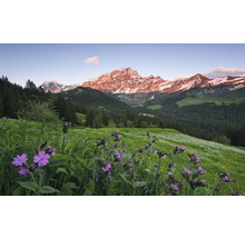 Landschap met wilde bloemen en besneeuwde bergen
